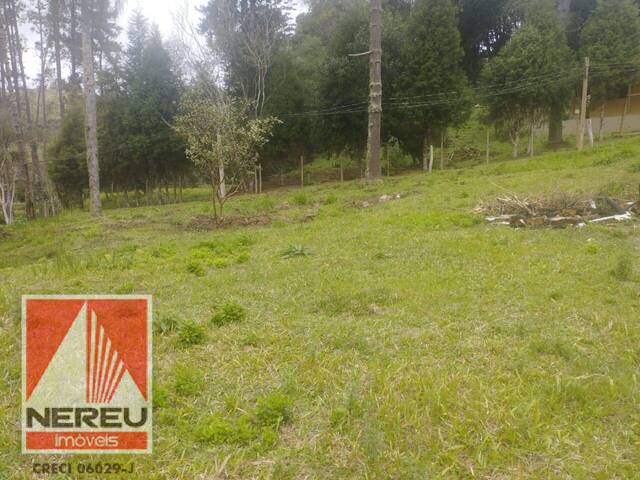 #1769 - Terreno para Venda em Juquitiba - SP - 3