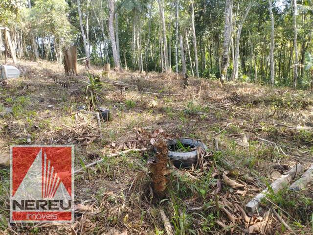 #1772 - Terreno para Venda em Juquitiba - SP - 3